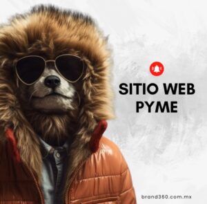 Sitio Web PYME
