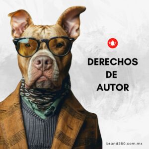 Derechos de Autor