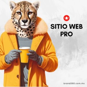 Sitio web PRO