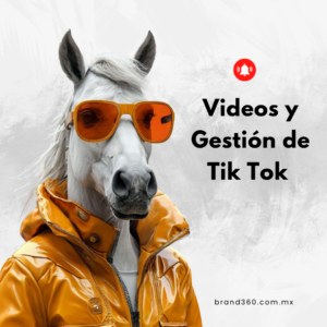 Videos y Gestión de TikTok